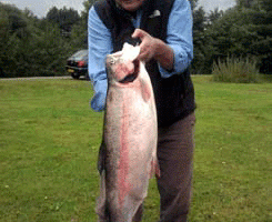 packington 18lb rainbow 1.gif